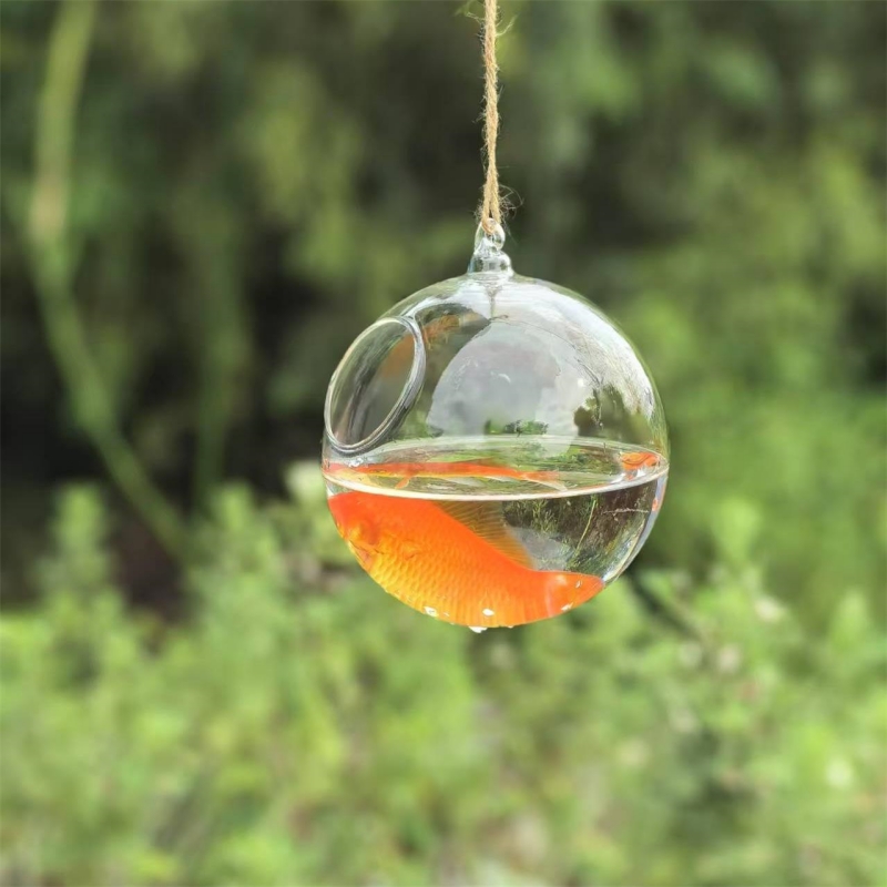 Aquarium - Прозрачный стеклянный террариум-аквариум для домашнего декора,