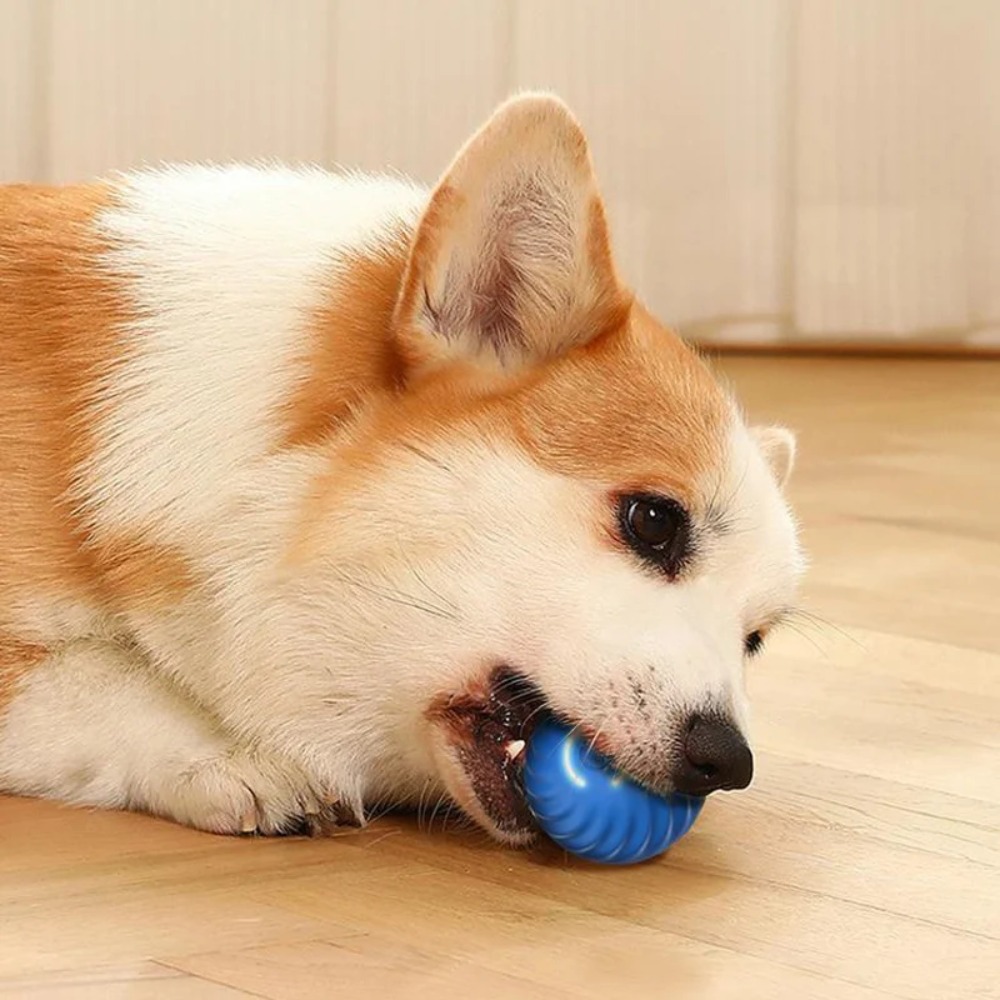 Новый 1 шт., автоматический дв – обзор и цена Automatic Moving Dog Ball