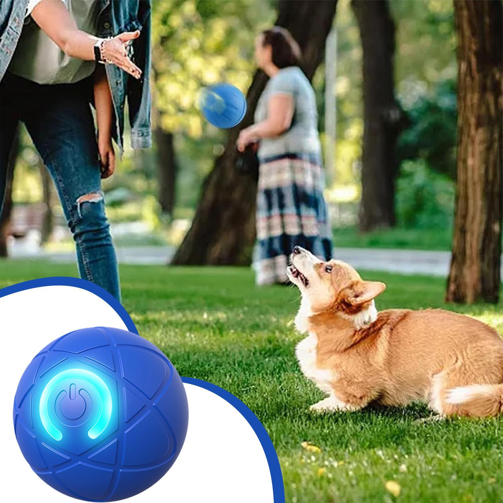 Умные интерактивные игрушки дл – обзор и цена Automatic Moving Dog Ball