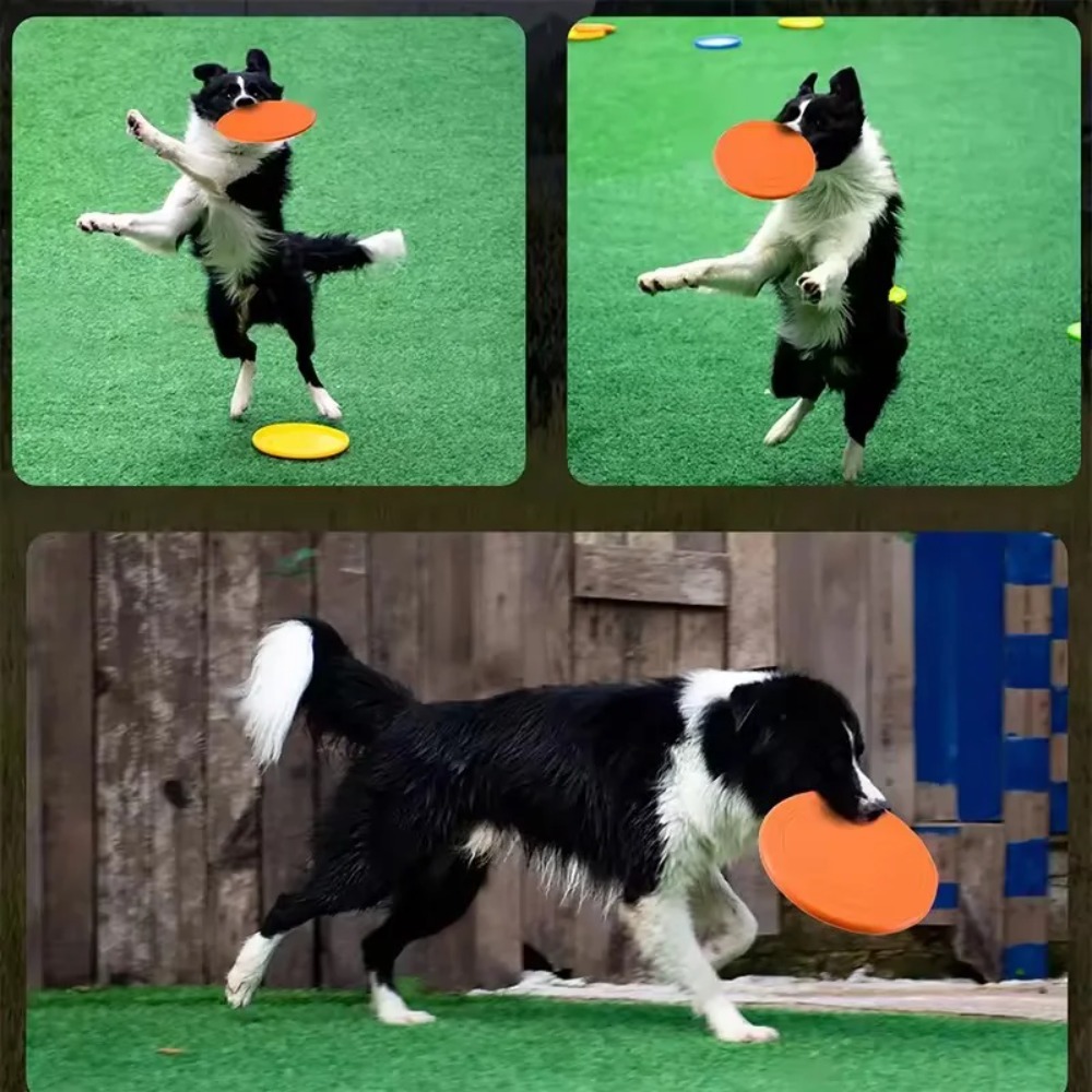 Летающий диск для собак из TPR – обзор и цена Flying Disc Dog Training Toy