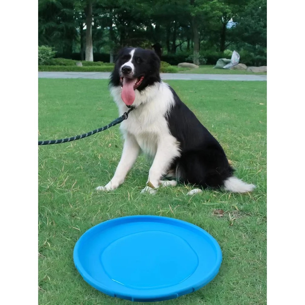 Летающий диск для собак из TPR – обзор и цена Flying Disc Dog Training Toy