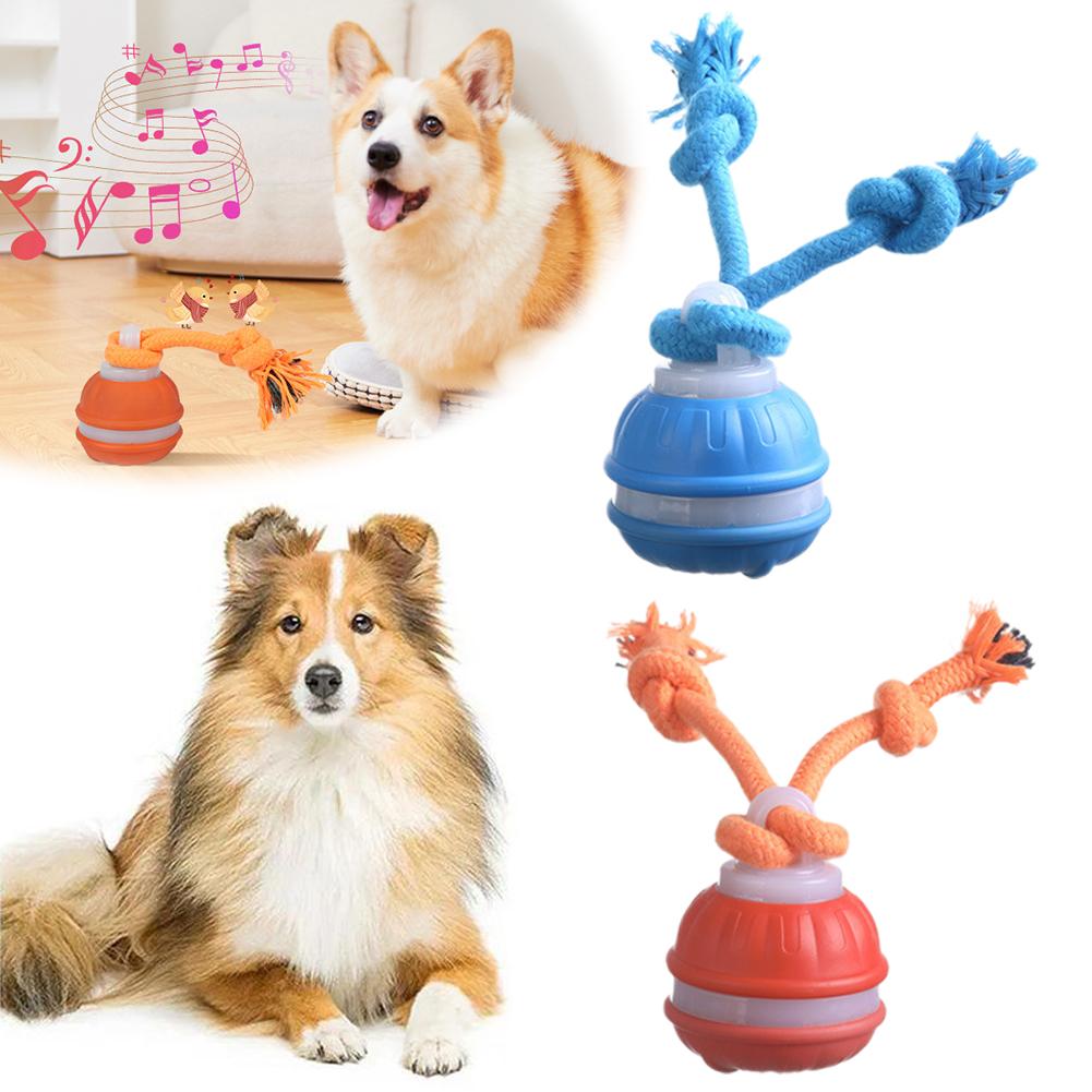 Умный перезаряжаемый мяч для с – обзор и цена Automatic Moving Dog Ball