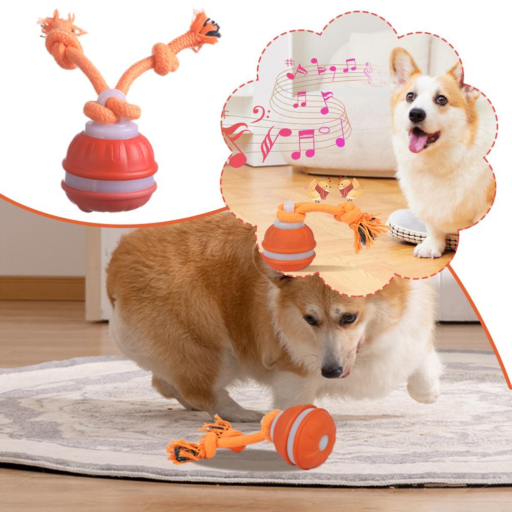 Умный перезаряжаемый мяч для с – обзор и цена Automatic Moving Dog Ball