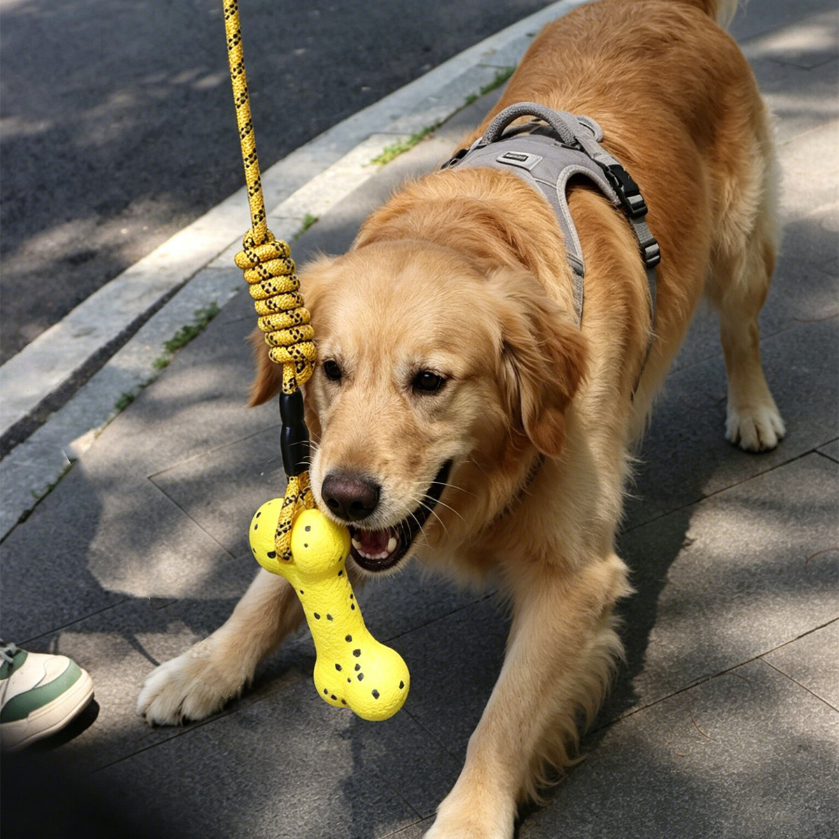 Прочная игрушка-веревка для со – обзор и цена Dog Rope Toy Aggressive Chewers