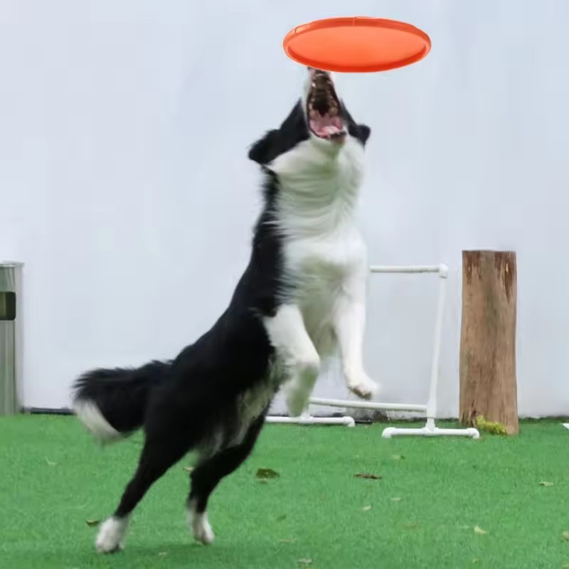 Интерактивная силиконовая игру – обзор и цена Flying Disc Dog Training Toy
