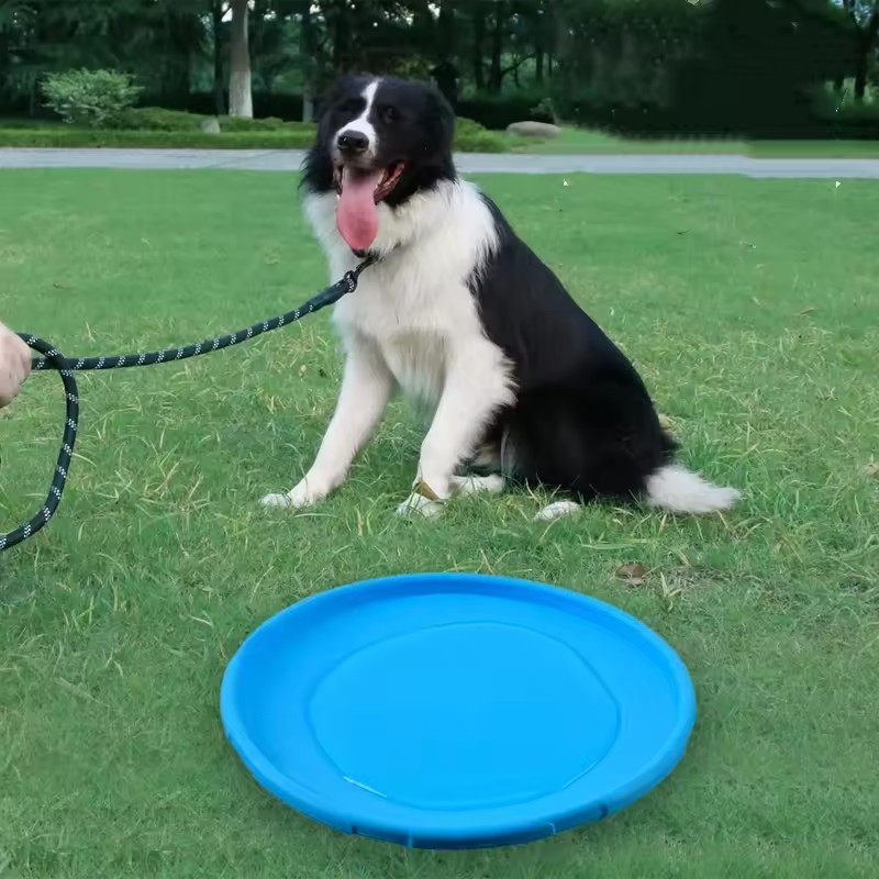 Интерактивная силиконовая игру – обзор и цена Flying Disc Dog Training Toy