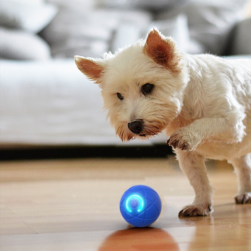 Умный игрушечный мяч для собак – обзор и цена Suction Cup Dog Tug Toy