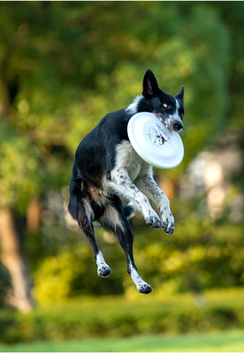 OUZEY, защита от укусов для до – обзор и цена Flying Disc Dog Training Toy