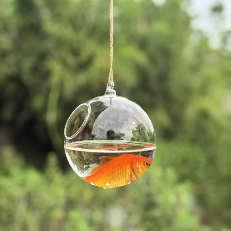 Прозрачный стеклянный террариу – обзор и цена Aquarium