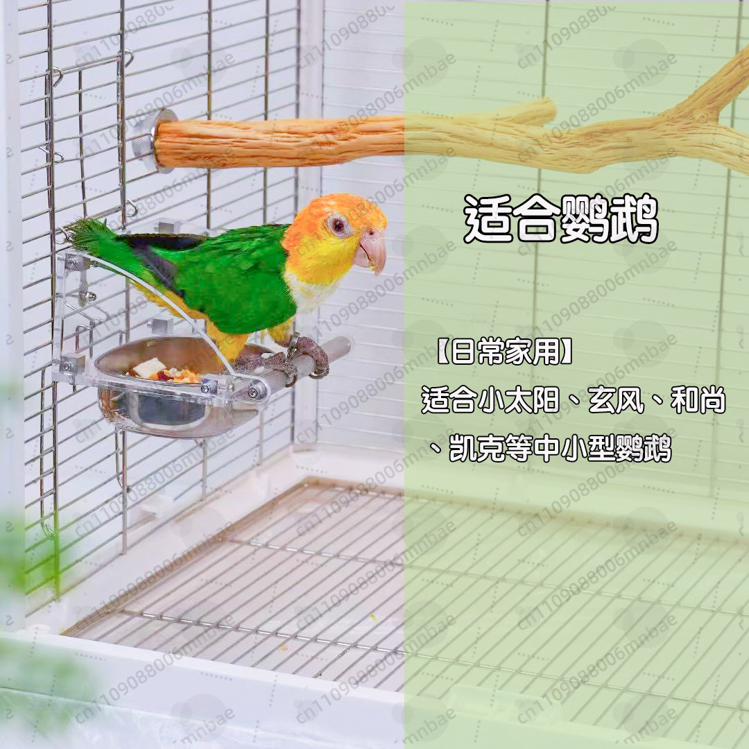 Кормушка для попугаев из нержа – обзор и цена Pet Feeders