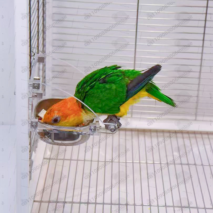 Кормушка для попугаев из нержа – обзор и цена Pet Feeders