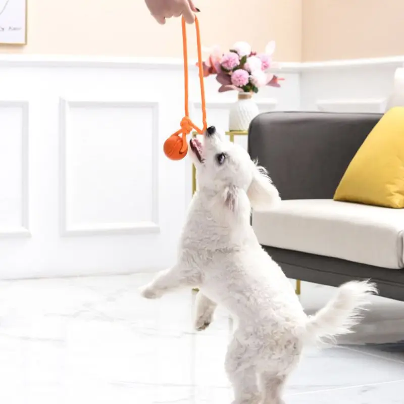 Дрессировочный мяч для собак н – обзор и цена Suction Cup Dog Tug Toy