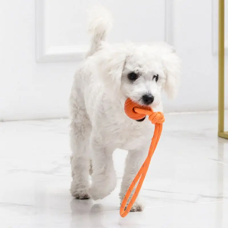 Дрессировочный мяч для собак н – обзор и цена Suction Cup Dog Tug Toy