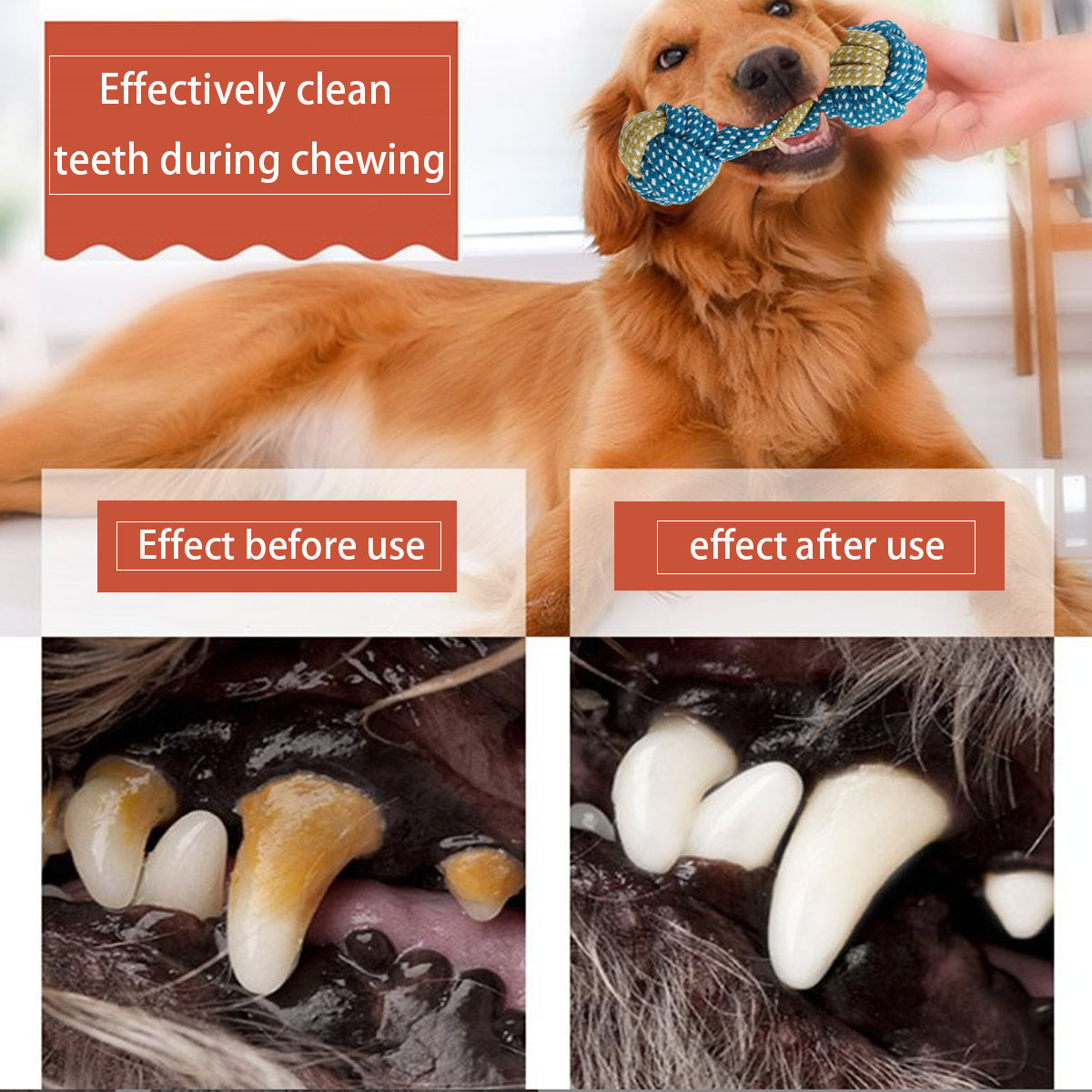 Новинка, 7 шт., жевательная ве – обзор и цена Teeth Cleaning Dog Chew Bone