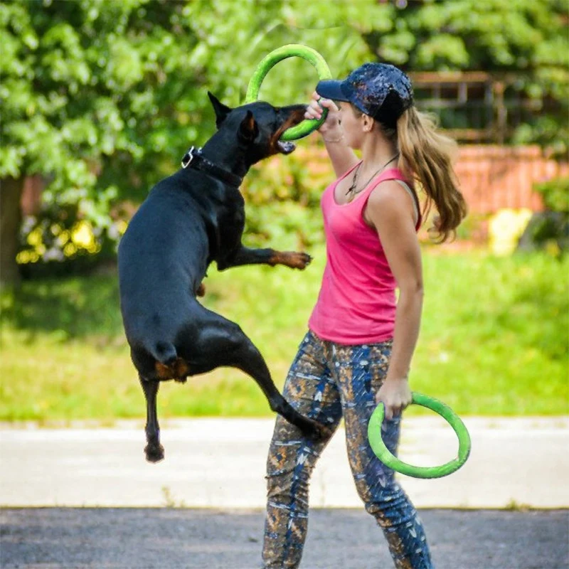 Игрушки для собак, летающие ди – обзор и цена Suction Cup Dog Tug Toy