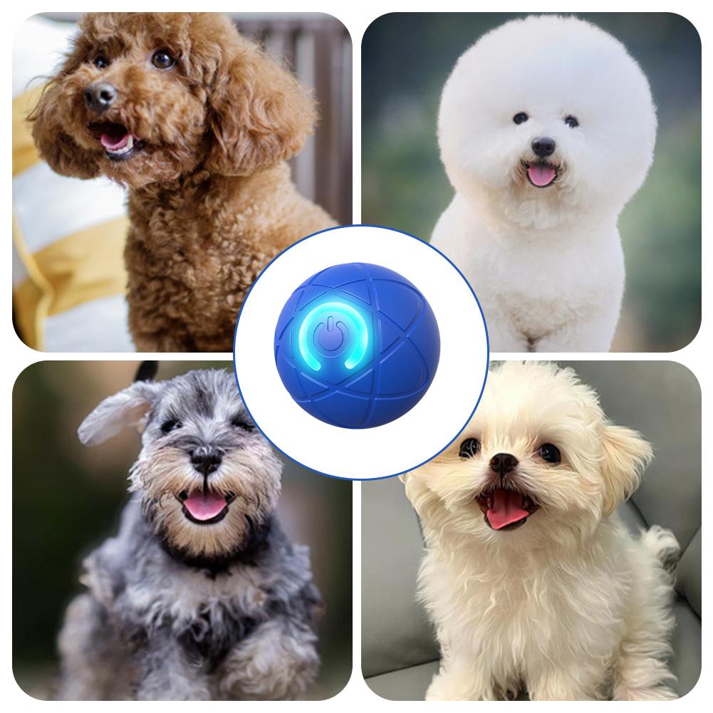Электронная интерактивная игру – обзор и цена Automatic Moving Dog Ball