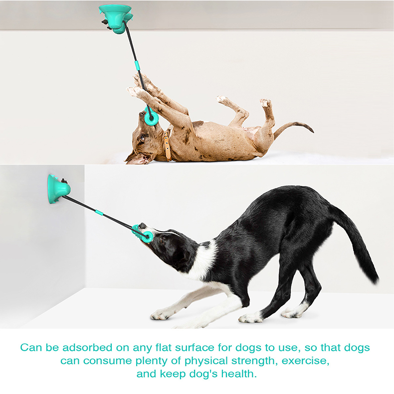 Игрушка для собак с двойными п – обзор и цена Suction Cup Dog Tug Toy