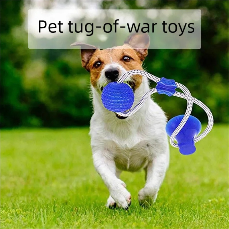 Прочная игрушка-присоска для с – обзор и цена Suction Cup Dog Tug Toy