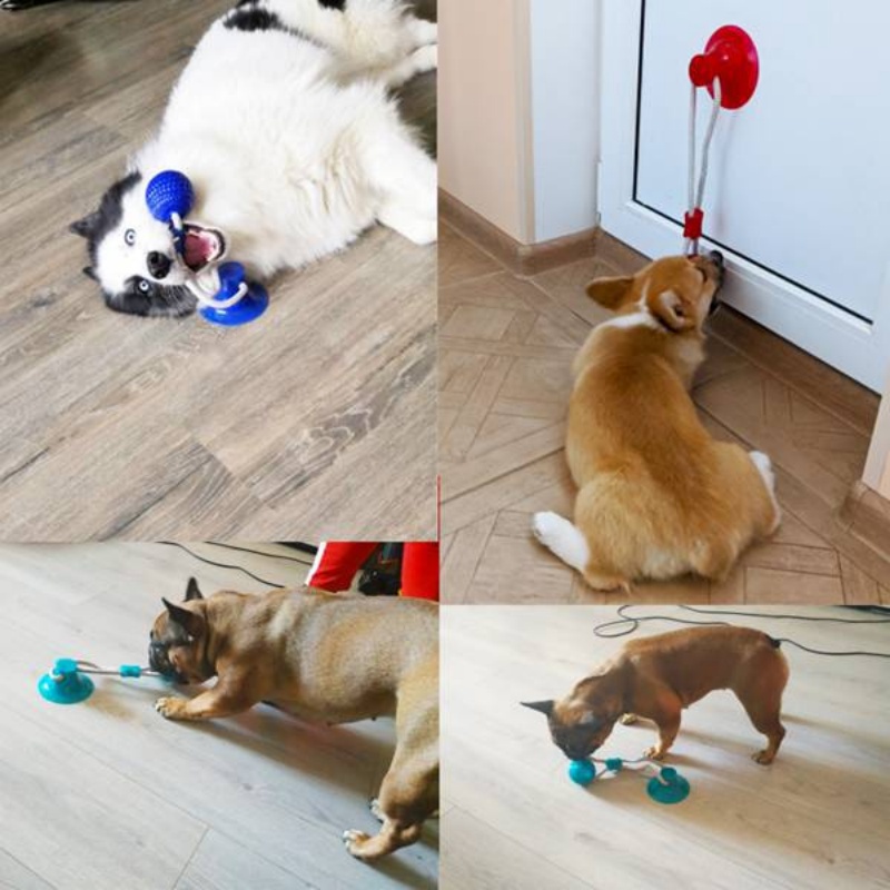 Прочная игрушка-присоска для с – обзор и цена Suction Cup Dog Tug Toy
