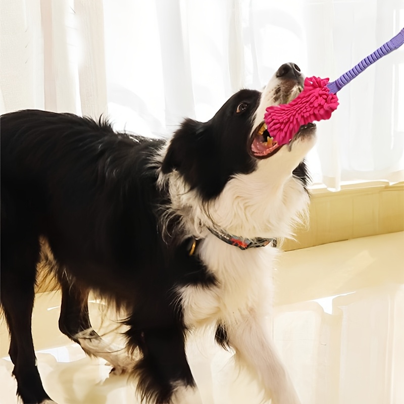 Прочные игрушки для собак для  – обзор и цена Suction Cup Dog Tug Toy