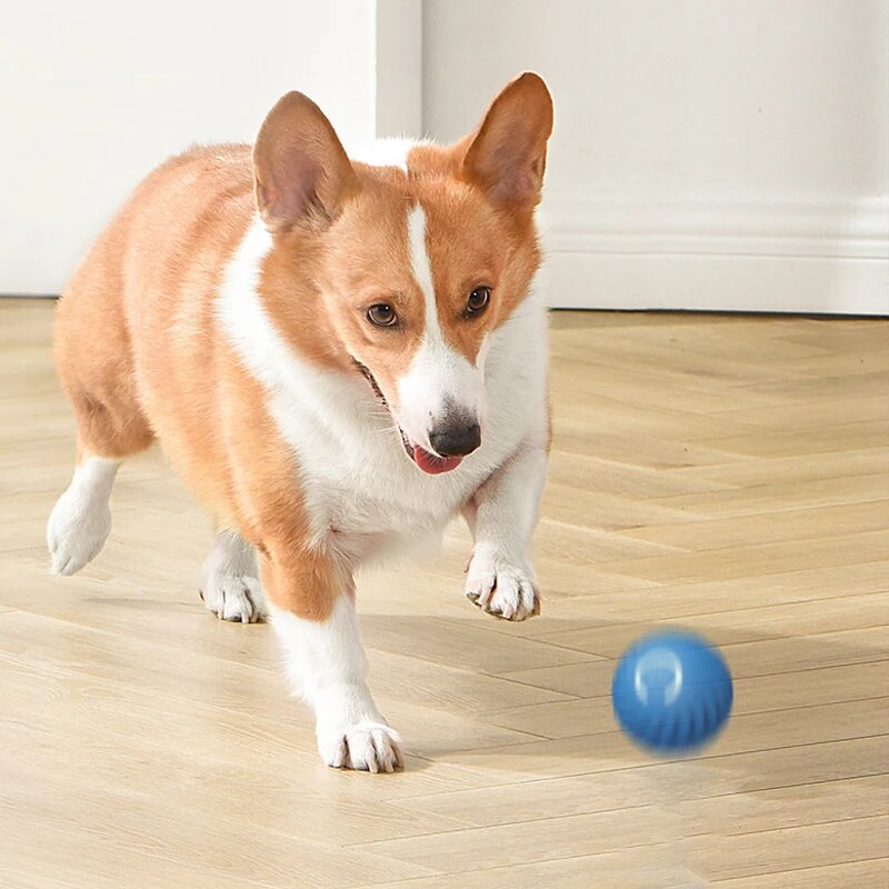 Игрушки для собак, интеллектуа – обзор и цена Suction Cup Dog Tug Toy