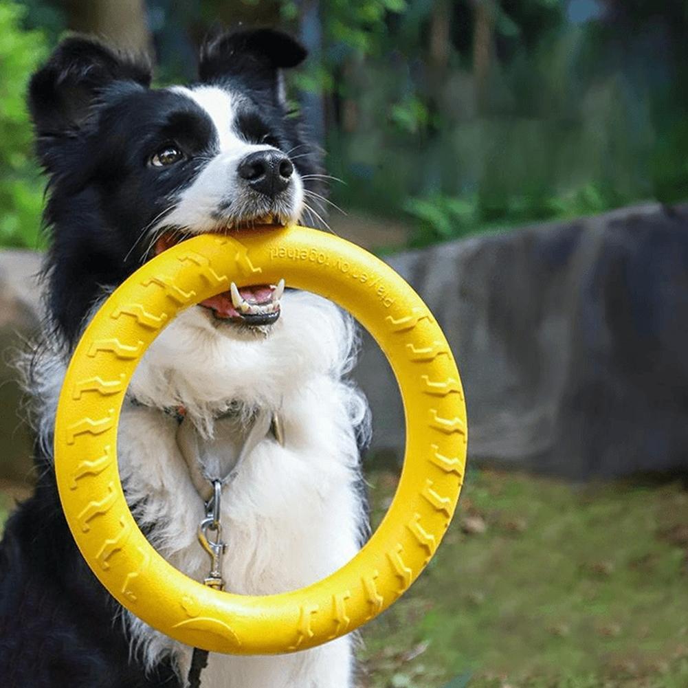 Игрушки-кольца для собак: проч – обзор и цена Indestructible Dog Chew Toy