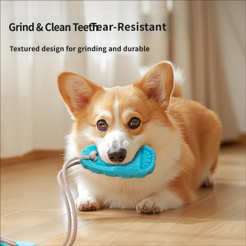 Игрушка для собак с присоской, – обзор и цена Suction Cup Dog Tug Toy