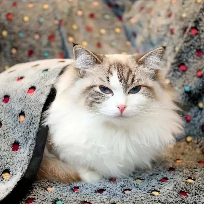 3 шт. мягкое пушистое одеяло д – обзор и цена Pet Beds