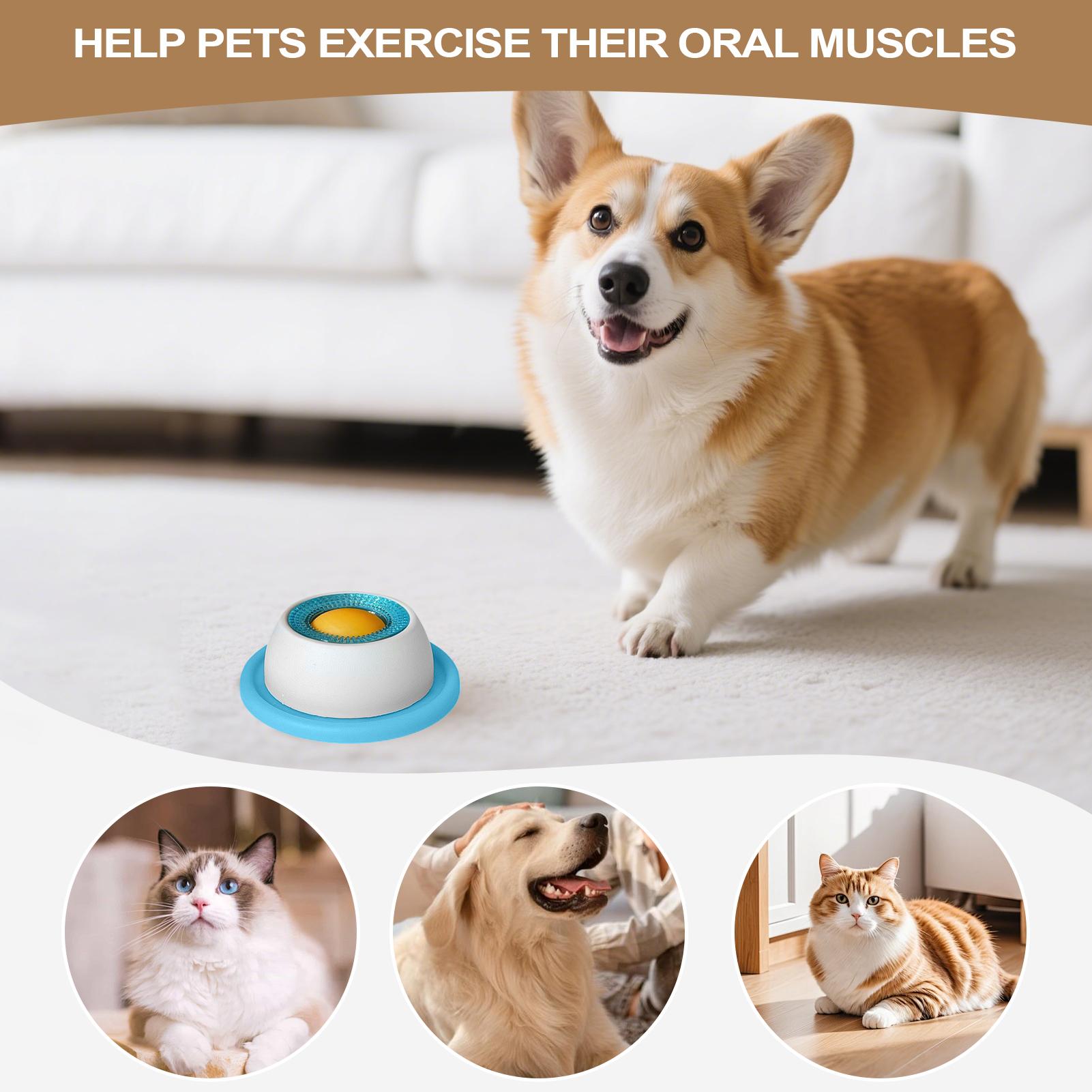 Игрушка-головоломка для собак: – обзор и цена Dog Puzzle Feeder Toy